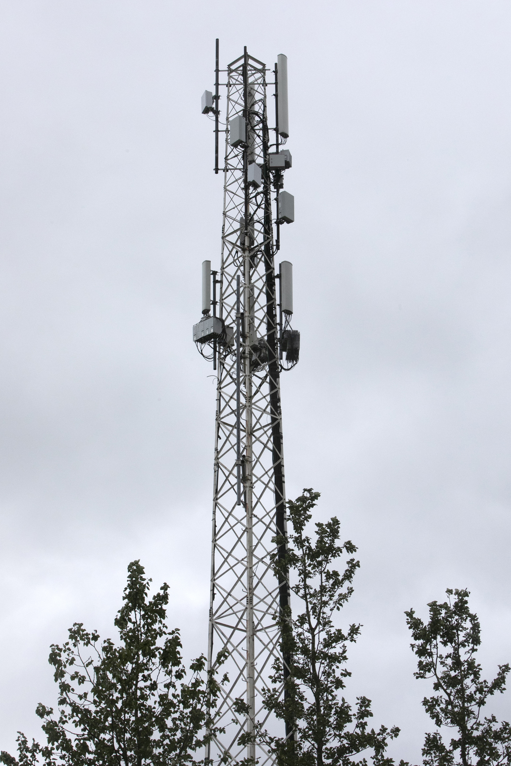 A picture containing tree, outdoor, sky, antenna

Description automatically generated